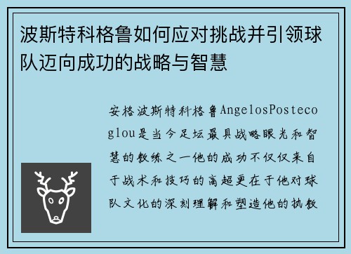 波斯特科格鲁如何应对挑战并引领球队迈向成功的战略与智慧