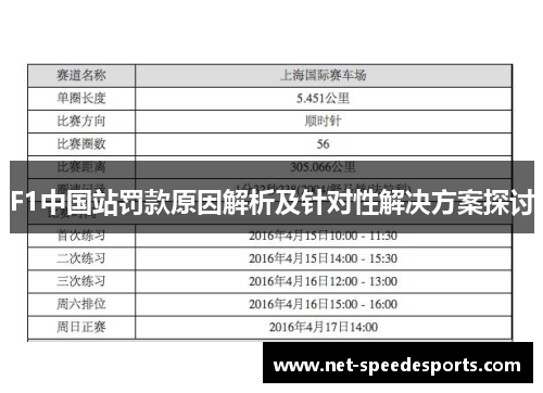 F1中国站罚款原因解析及针对性解决方案探讨