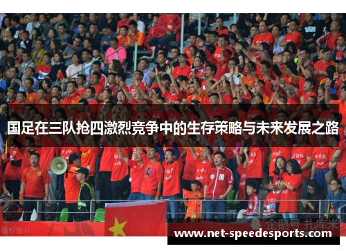 国足在三队抢四激烈竞争中的生存策略与未来发展之路