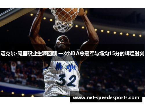 迈克尔·阿里职业生涯回顾 一次NBA总冠军与场均15分的辉煌时刻