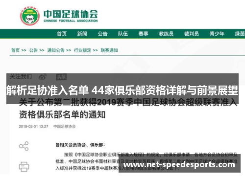 解析足协准入名单 44家俱乐部资格详解与前景展望