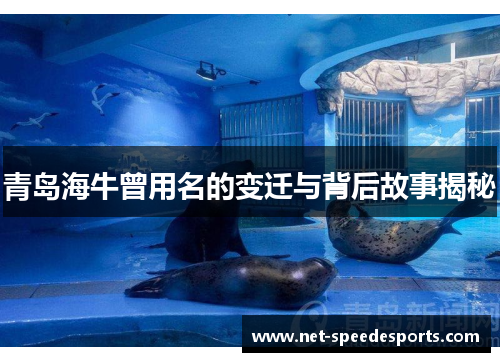 青岛海牛曾用名的变迁与背后故事揭秘