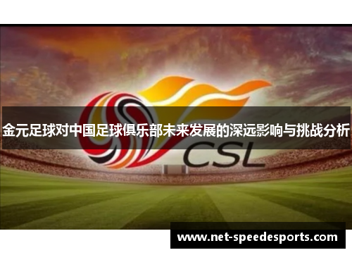 金元足球对中国足球俱乐部未来发展的深远影响与挑战分析
